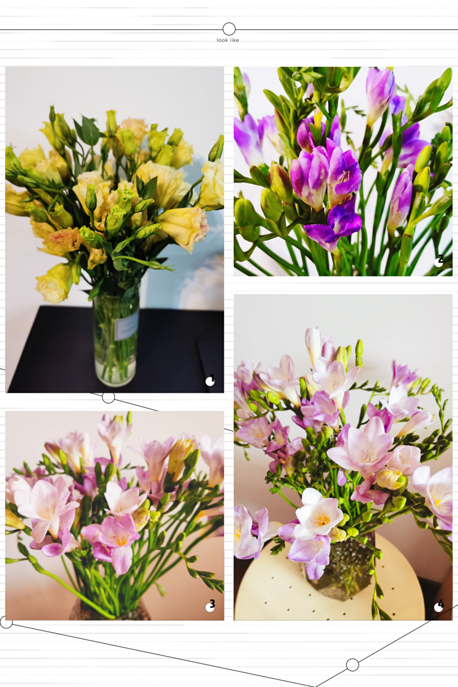 Happy Women’s Day | 戰(zhàn)疫時(shí)期，這個(gè)三八節(jié)，我們“e”起過(guò)！